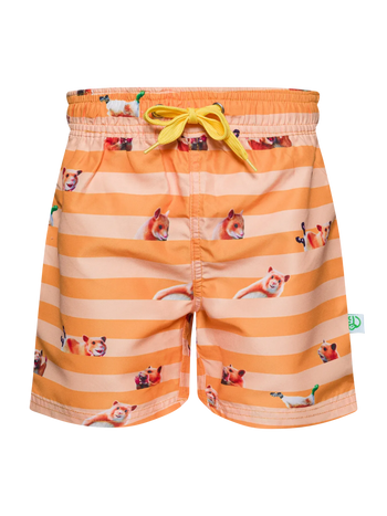 Lustige Badeshorts für Jungen Hamster und Streifen