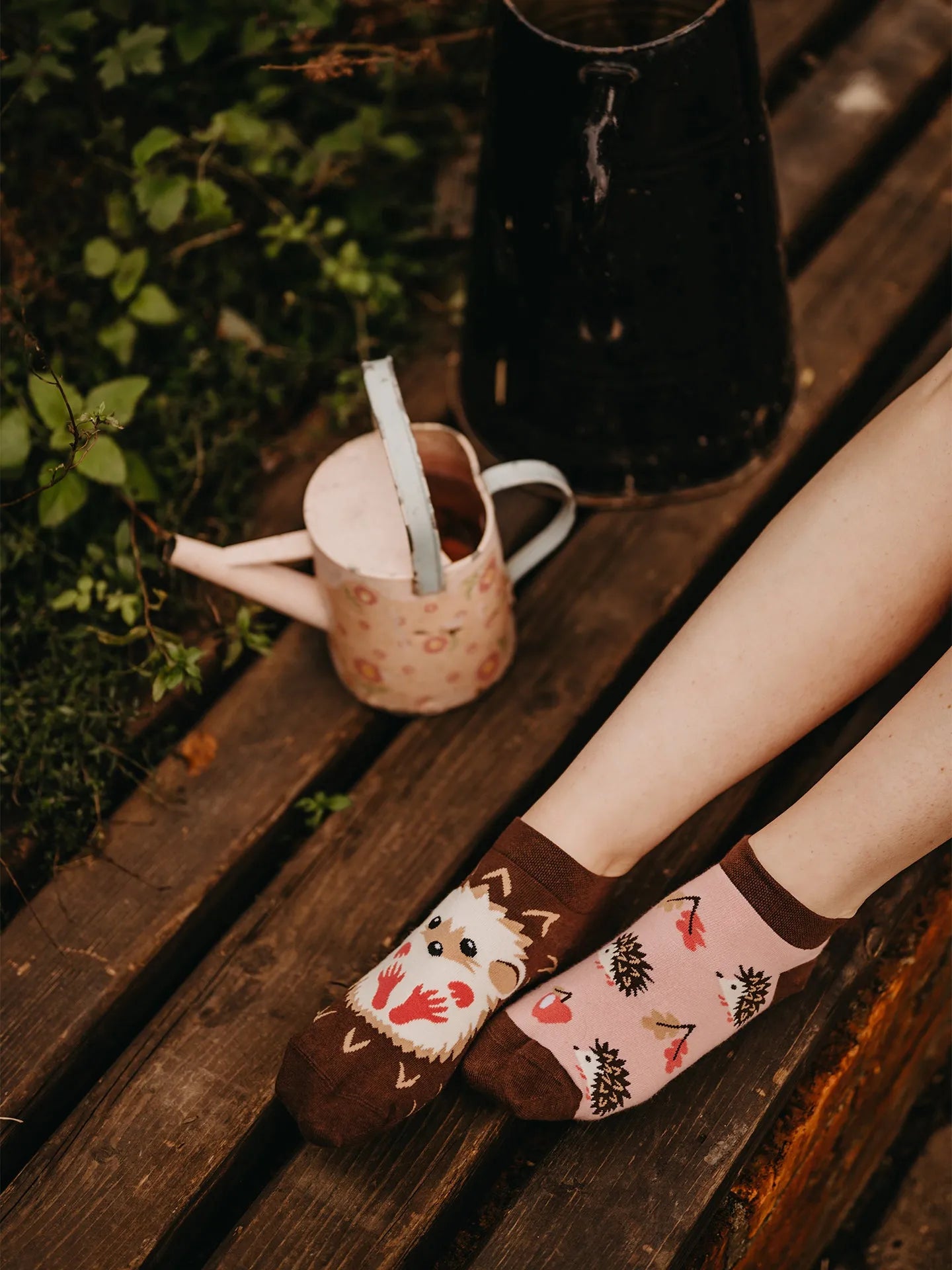 ankle-socks-hedgehog-02-68/688dd4def52b617116fed42608c1c12825676e8f